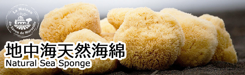 地中海天然海绵